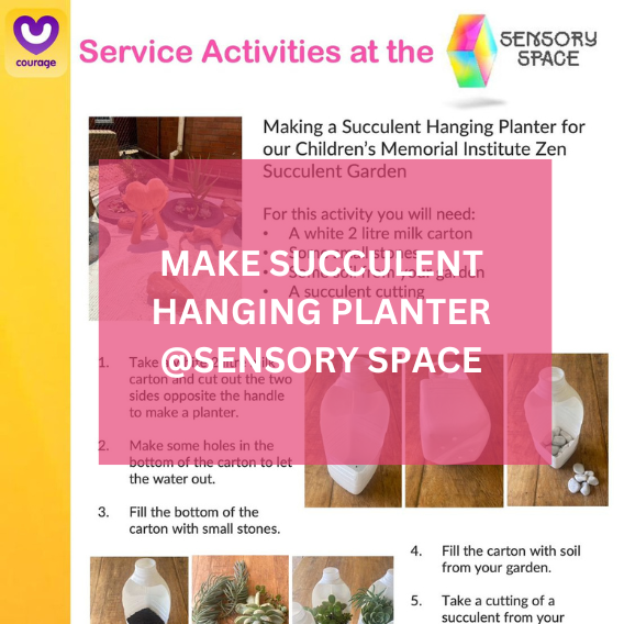 Sensory Space Succulent Planters