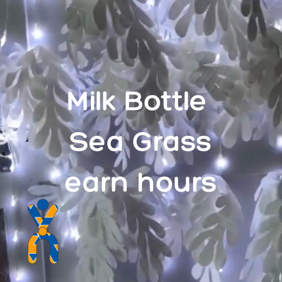 Milk bottle sea grass to earn verified hours with Volunteer Now